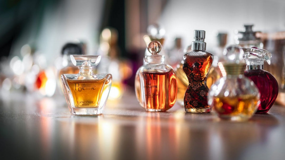 Perfume of the World