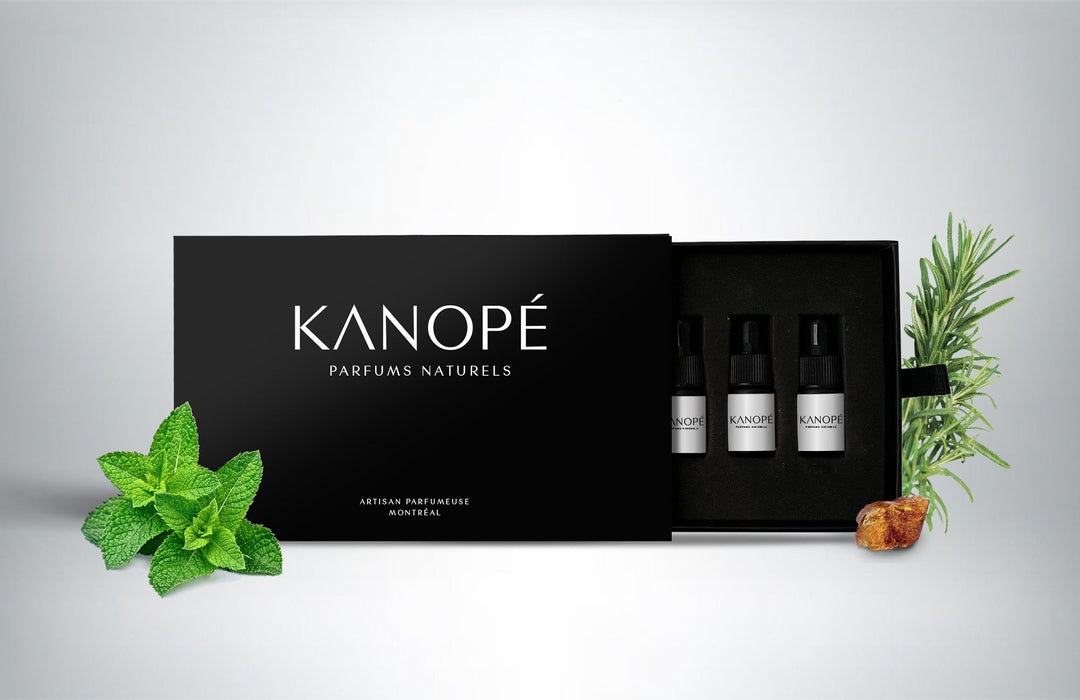 Olfactory Kit - Extension box