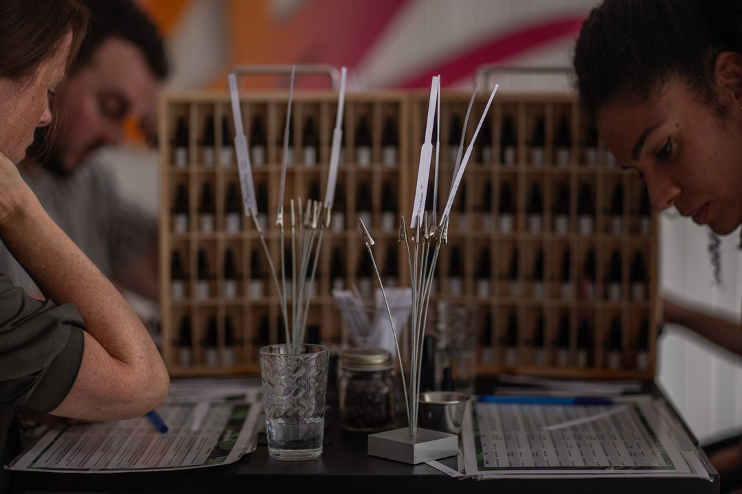 NATURAL PERFUME WORKSHOP