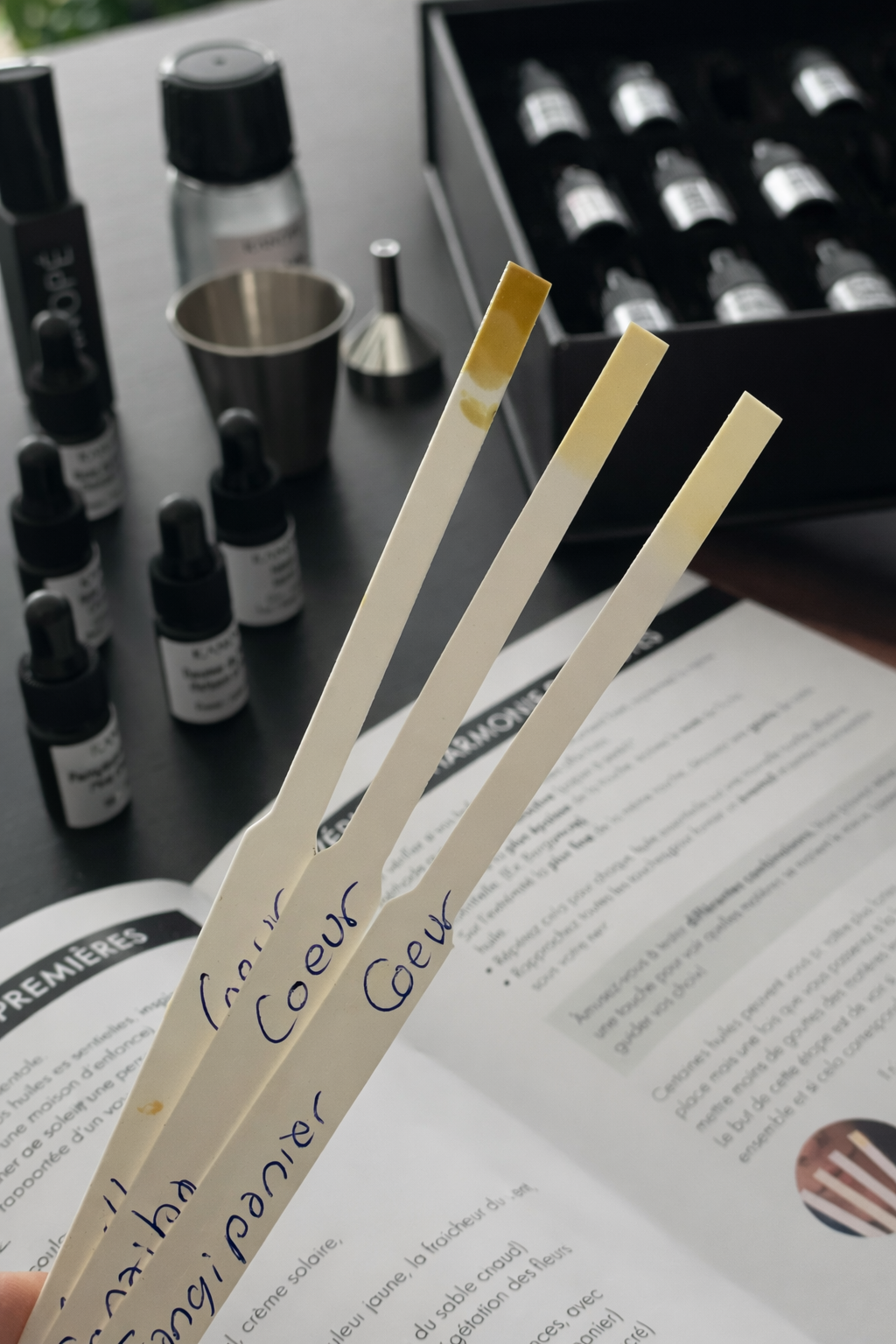 OLFACTIVE KIT - create your own perfume at home – Kanopé Fragrances